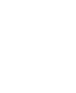 TSBL Logo